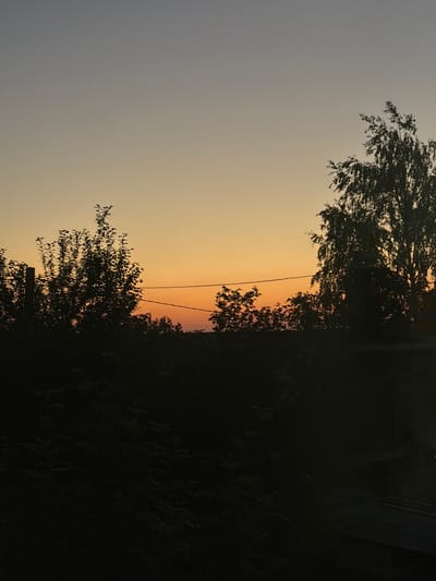 This image depicts a twilight scene with the sky transitioning from a pale gray at the top to a vibrant orange hue near the horizon. Silhouetted against this sky are various trees and foliage, creating a dark, indistinct foreground. A thin power line stretches horizontally across the middle ground. In the far right of the image, a portion of a dark, sloped roof, possibly made of corrugated metal, is visible. The overall environment suggests a rural or suburban setting, and the lighting indicates either dawn or dusk. There are no people or discernible actions taking place in the image. The location is identified as Leninsk-Kuznetskiy, Russia.