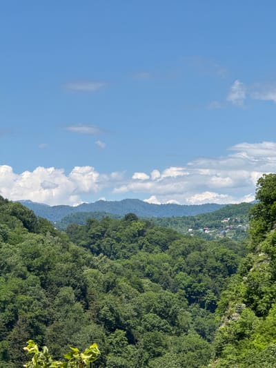 This landscape photograph, taken in Khleborob, Russia, captures a vast panoramic view of forested hills under a bright blue sky. The scene is dominated by layers of lush green mountains stretching into the distance, suggesting a temperate or subtropical environment during a warm season.

In the foreground and midground, dense, vibrant green foliage covers the rolling terrain, with individual trees and their textures clearly visible. The hills gradually recede, becoming lighter in tone and appearing hazy blue due to atmospheric perspective, indicating significant depth in the landscape.

The sky occupies the upper portion of the image, a clear, brilliant blue punctuated by scattered, fluffy white cumulus clouds. The illumination suggests it is daytime, likely mid-morning or early afternoon, with ample sunlight.

A notable detail is a small settlement or village visible on one of the mid-distance hills, featuring a cluster of houses with colorful roofs nestled among the trees. This indicates human presence within the natural, verdant environment. A few out-of-focus green leaves and branches appear in the extreme right foreground, suggesting the photo was taken from an elevated vantage point, possibly from within a tree-covered area or a hillside overlook.

There is no specific activity or event taking place; the image captures a serene and expansive natural landscape. No visible text is present in the photograph.
