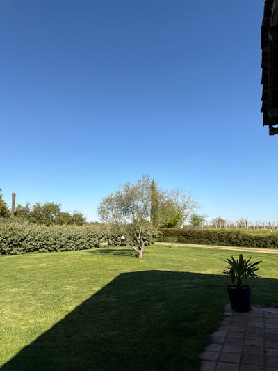 The image captures a sunlit outdoor scene. A clear blue sky dominates the left side of the frame. On the right, a well-maintained lawn extends from the lower edge to the upper-right. A row of trees and bushes borders the lawn. There is a single tree at the bottom center of the frame. A potted plant sits on a brick-paved area in the top-right corner. The shadow of a building or structure is visible across the lawn, originating from the upper-right. A section of a roof is visible in the upper-left corner. The scene has a residential atmosphere, and given the location, it's likely a backyard or garden setting in Mauléon-d'Armagnac, France. No people or animals are visible.