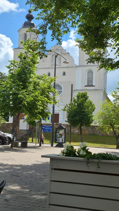 This is a daytime, eye-level, full-shot photograph taken from a public walkway in Zarasai, Lithuania. The scene is dominated by the front of a white, two-story church with a prominent bell tower on the left. The church has multiple arched windows and a large circular window above the entrance. The church is partially obscured by lush green trees and branches in the foreground.

To the left of the church entrance, there is a set of stone stairs leading up to a doorway. Adjacent to the stairs is a stone bench and a parked car. A blue directional sign pointing to "Daugpilis" and "Utena 50" is visible near the entrance. A woman in a pink shirt and dark pants is walking on the paved walkway towards the church.

In the middle ground, there is a public information kiosk with posters displayed. The ground in the foreground is paved with cobblestones. A white wooden planter box filled with white flowers and green foliage is prominently featured in the lower right corner of the frame. The sky is blue with scattered white clouds, and sunlight casts shadows on the ground, indicating a clear, sunny day. The overall environment appears to be a well-maintained public space in a town or city.