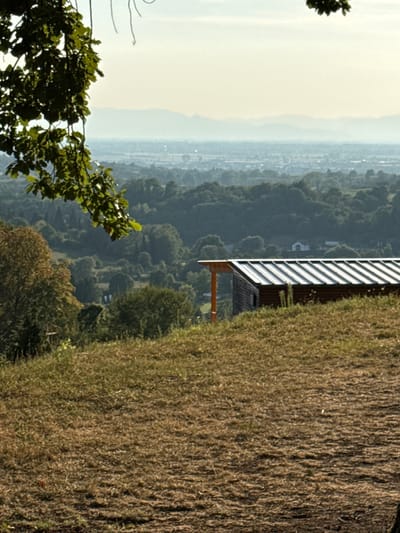 The image depicts a scenic view from a hillside overlooking a valley. In the foreground, dry, golden grass covers the slope. To the right, a small, rustic wooden structure with a metal roof and a single orange support beam sits on the hillside. Beyond the structure, the landscape unfolds into rolling hills densely covered with trees, transitioning to a hazy cityscape in the distance, bordered by faint mountains on the horizon. A large branch with green leaves hangs from the upper left corner, partially obscuring the sky. The lighting suggests it is either early morning or late afternoon, with soft light illuminating the scene. There are no people visible in the image. The location is identified as Kippenheim, Germany.