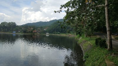 The image displays a picturesque landscape featuring a calm body of water, likely a lake or reservoir, in Kecamatan Panjalu, Indonesia. The water, which occupies the foreground and midground, subtly reflects the cloudy sky above.

On the far side of the water, several houses with reddish-brown roofs are nestled amidst a dense canopy of green trees, extending up a forested hill that forms the backdrop of the scene. A small, white, open-sided structure is visible near the water's edge on the opposite bank.

To the right, a paved road curves gently, running parallel to the water. This road is bordered by lush green grass and a concrete embankment that separates it from the water. Tall, leafy trees line the road, with prominent tree trunks in the immediate right foreground casting shadows. Further along the road on the far right, some indistinct vehicles, possibly motorcycles, are parked.

The sky is partly cloudy, with large white clouds dispersed across the frame, suggesting a daytime scene, possibly late morning or early afternoon. The overall impression is one of tranquility and natural beauty, characteristic of a rural or semi-rural setting. No text is visible in the image.