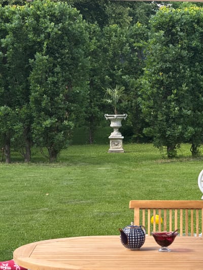 This image, captured in Sapronovo, Russia, depicts a tranquil outdoor garden or park scene. The perspective is from a slight elevation, looking across a lawn towards a treeline.

In the right foreground, part of a light wooden outdoor table is visible, along with sections of slatted wooden chairs. On the table, there are two decorative items: a red or burgundy glass, possibly a goblet, and a blue and white checkered teapot or small pitcher.

The central part of the image is dominated by a neatly mown, vibrant green lawn. Towards the left of the midground, a prominent feature is an ornate grey stone urn or planter, intricately carved and resting on a sculpted pedestal. A small, palm-like plant is growing within the urn.

The left side and background of the scene are filled with dense, lush green trees, likely deciduous, forming a natural barrier or a thicket at the edge of the garden. The lighting indicates it is daytime, casting soft illumination across the landscape. No people are present, and no specific activity is occurring, presenting a peaceful and well-maintained outdoor environment. There is no visible text in the image.