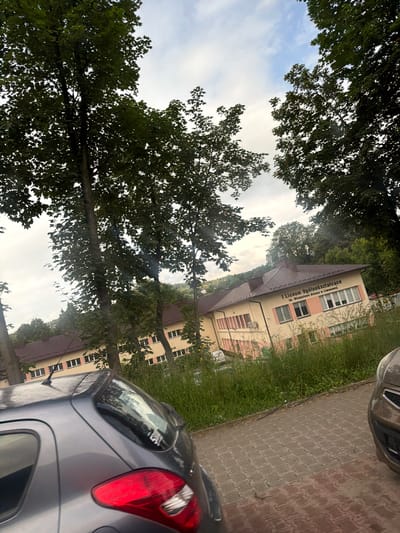 The image shows a street scene in Limanowa, Poland. In the foreground, a grey car is parked on a brick-paved surface. To the right, the front of a brown car is partially visible. Behind the cars, a building with a brown roof and a light-colored facade with pink accents is visible. The building has multiple windows and an air conditioning unit. Text on the building reads "I Liceum Ogólnokształcące im. Władysława Orkana w Limanowej". Tall trees with green foliage line the left and right sides of the image, partially obscuring the sky, which is partly cloudy. Lush green grass and vegetation grow along the side of the building and the street. The overall impression is of a bright, daytime scene in a town setting, likely a school.