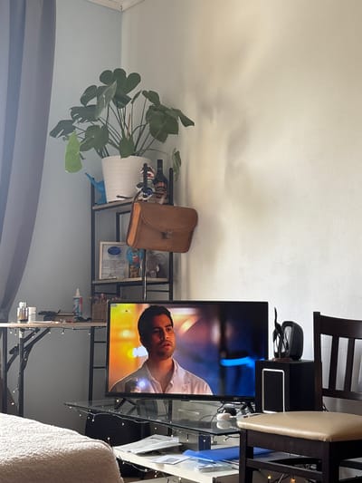 A television displays a man holding a flashlight in an indoor setting. A brown leather purse hangs from a shelf, beside bottles of alcohol and a potted plant. In the foreground, a bed and a chair are visible. The scene is illuminated by natural light and fairy lights, suggesting an evening or dimly lit environment. The location is not explicitly identifiable as Dachau, Germany.