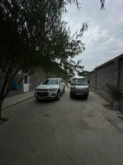 In the city of Jaukashty, Uzbekistan, this image depicts a courtyard with two vehicles parked on a concrete surface. A white SUV is parked to the left, with its front facing forward. To its right, a silver minivan is also parked, facing forward. The courtyard is bordered by a textured gray stone wall on the right. A large tree with dense foliage extends from the left side of the frame, partially obscuring the view. The background shows a building with a gray facade and a white door on the left. The sky is overcast with clouds. A blue bag hangs from a branch of the tree on the left. The overall impression is of a quiet, possibly residential, outdoor space.