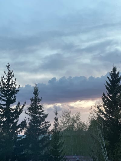 The image shows a view of the sky framed by trees, likely taken in Sayansk, Russia, based on provided context. The sky features a cloudy formation, with light peeking through in the center, suggesting either sunrise or sunset. The clouds range in color from a light gray to a dark blue-gray. Trees are silhouetted in the foreground, partially obscuring the sky. There's a hint of buildings or rooftops visible on the right side of the frame, further suggesting an urban or suburban environment. A small flock of birds is seen in the sky.