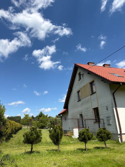 The image depicts a residential property with a light-colored, two-story house featuring a red tile roof. The house has multiple windows, two chimneys, and a skylight. A section of the house's exterior wall appears to be under renovation or repair, with a large yellow panel. In the foreground, a well-maintained lawn is visible, with several small, manicured evergreen trees planted in a row. A chain-link fence separates the lawn from a dense hedge on the left side of the frame. In the background, a line of trees forms the horizon. The sky is a vibrant blue with scattered white cumulus clouds. The scene is consistent with a rural or suburban setting.