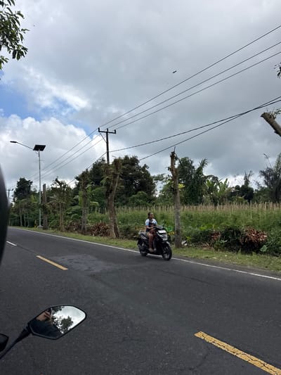 In the city of Bangli, Indonesia, a person is riding a scooter on a paved road. The scooter is black and white, and the person is wearing a blue shirt and shorts. The road is lined with trees and vegetation. The sky is cloudy, and there are power lines overhead. A solar-powered street light is visible on the left side of the road. The scene appears to be rural or suburban, with lush greenery and agricultural fields in the background. The overall mood is serene and peaceful, with a touch of everyday life captured in motion.
