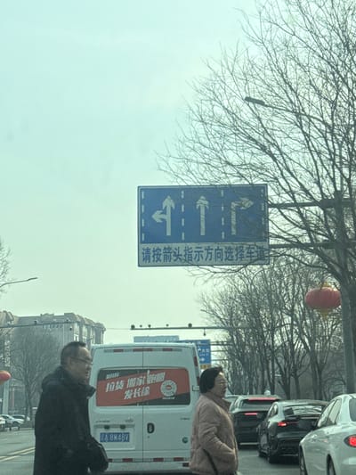 The image captures an urban street scene in Huanggu District, China, under an overcast, pale green-blue sky, indicative of a late autumn or winter season.

An overhead blue rectangular traffic sign is centrally positioned, displaying three vertical lanes. The leftmost lane features a white arrow indicating options for left or straight movement. The central lane shows a white arrow for straight movement. The rightmost lane displays a white arrow for options to turn right or go straight. Below the lane indicators, white Chinese characters read: "请按箭头指示方向选择车道," translating to "Please choose your lane according to the arrow's direction." A red spherical lantern hangs from the branches of a bare deciduous tree on the far right.

In the lower mid-ground, a white commercial van faces away from the viewer. Its rear doors feature a red banner with white Chinese text. The text, "拉线 搬家 跑腿," translates to "wiring/line pulling, moving, errands," and "发长途" indicates "long-distance delivery," accompanied by a circular logo. The visible portion of its license plate reads "A 8W4BV." Behind the van, a dark-colored SUV is visible, followed by a white sedan, all appearing to be in a traffic queue. Additional vehicles are discernible further down the street.

Two individuals are partially visible in the foreground. On the left, a male figure wearing a dark coat and glasses faces right. On the right, a female figure wearing a light-colored jacket faces left. Both are positioned at street level, slightly in front of the white van.

Multi-story urban buildings are visible in the background on the left. Streetlights are present above the roadway in the distance.