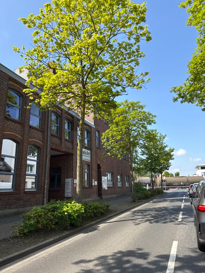 The image depicts a street scene in Meerbusch, Germany, with a four-story brick building dominating the left side of the frame. The building features arched windows and signs including one reading "usicArt". A tree with bright green leaves partially obscures the building's facade. To the right, a paved road runs alongside the building, with visible white lane markings. Cars are parked or driving along the road, and a railway bridge with what appear to be tanker cars and traffic signals is visible in the background. The sky is blue with scattered trees framing the upper part of the image. The scene is bathed in daylight, with shadows from the trees falling on the road. A narrow strip of greenery separates the building from the road.