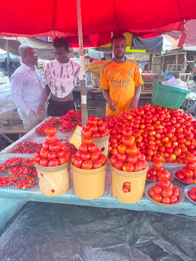 The image depicts a vibrant market scene in Ojodu, Nigeria. A large assortment of ripe tomatoes is prominently displayed, piled high in buckets and bowls. Three men are visible: one in an orange t-shirt behind the tomatoes, and two others on the opposite side of the display, with one wearing a striped shirt. Red peppers are arranged in small bowls in the foreground. The market stall is shaded by a red canopy. The environment is bustling with activity, as suggested by the surrounding structures and the presence of multiple people.