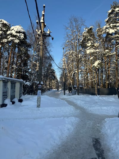 The image depicts a snow-covered winter street scene in Дубки, Russia, under a clear blue sky. In the foreground, a concrete utility pole is positioned centrally, fitted with insulators, overhead electrical lines, and a transformer unit, all partially covered in snow. Advertisements, including one with "ОБУВЬ" (shoes) and "20" in Cyrillic, are affixed to the lower section of this pole. To the immediate left, a light-colored electrical cabinet, marked with "ТП" and "410409," is partially obscured by deep snowdrifts.
A pedestrian path, cleared of heavier snow and exhibiting compacted or icy surfaces, extends from the foreground into the distance, diverging to the right from the broader, snow-covered road. Deep snowbanks border this cleared path. In the midground along this path, two indistinct human figures are observed walking away from the viewer. The thoroughfare is flanked by numerous trees; dense snow-laden coniferous trees are prominent on the left, while a mix of snow-covered evergreens and bare deciduous trees line the right. A dark, possibly metal, fence borders the right side of the scene in the midground. The environment is brightly illuminated by direct sunlight, casting visible shadows.