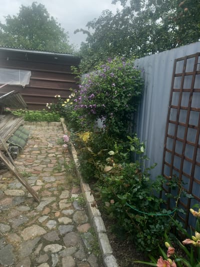 The image depicts a garden scene in Maloye Lugovoye, Russia, featuring a stone pathway leading towards a wooden structure. A grey metal fence runs along the right side of the path, supporting a wooden trellis. Lush green foliage, including flowering plants with purple and pink blossoms, borders the pathway. The pathway itself is constructed of irregularly shaped stones with patches of moss and grass. To the left of the path, a portion of a wooden building with a corrugated metal roof is visible. The sky is overcast, suggesting a cloudy day. No people are present in the image.