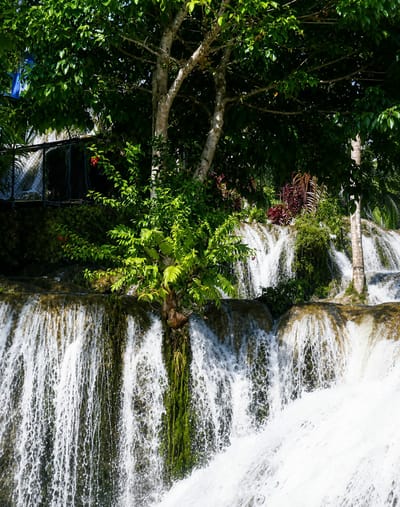 The image depicts a lush natural environment with a multi-tiered waterfall cascading over moss-covered rocks. Dense green foliage and trees frame the top of the waterfall, with some branches extending over the falling water. In the background, glimpses of a chain-link fence and some red-leafed plants are visible. The water flow is prominent, creating a dynamic visual element with white foam and spray at the base. The scene appears to be a natural attraction in a tropical setting.
