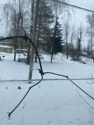 This image presents a forensic view through a window of a snow-covered winter landscape in Карабоўскі сельскі Савет, Belarus. In the immediate foreground, dark, bare branches or vines, characterized by their gnarled appearance and visible tendrils, are positioned directly in front of the lens, partially obscuring the view. The scene beyond is dominated by fresh, undisturbed snow covering the ground. Scattered throughout the midground are several trees, including tall, slender deciduous trees with bare branches, and at least one dark green coniferous tree. Two structures are visible: a light-colored building with multiple windows is partially seen on the left side, and a smaller, open-sided shelter or gazebo with a dark roof is positioned in the mid-left. Two passenger vehicles are present: a light-colored car is partially visible behind trees on the left, and a darker-colored car is parked on the snow-covered terrain on the right, appearing partially submerged by snow accumulation. The sky is overcast, indicating a winter day with diffused natural light. No individuals are visible within the frame.