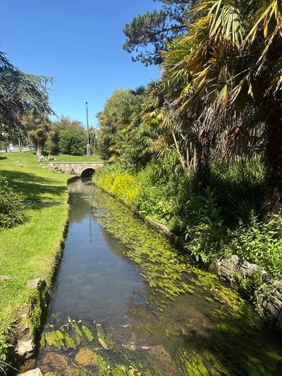 In Bournemouth, United Kingdom, a tranquil scene unfolds along a narrow, clear stream. The stream is flanked by lush green grass on the left bank and a dense thicket of vegetation, including palm trees and various shrubs, on the right. A low, stone-arched bridge spans the stream in the middle ground. On the grassy bank to the left of the bridge, two individuals are seated, appearing to enjoy the sunny day. The water itself is populated with aquatic plants, their leaves floating on the surface and submerging below. The sky above is a clear, bright blue. The overall impression is one of a peaceful, sun-drenched park setting.