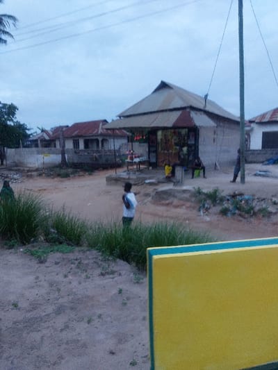The image depicts an outdoor scene in Mwandege, Tanzania, under an overcast sky with dim natural light.
Central to the mid-ground is a single-story commercial building constructed from unpainted concrete blocks, featuring a distinctive multi-tiered corrugated metal roof and an extended corrugated metal awning over its open storefront, which displays various goods.
Five individuals are present. In the left-center foreground, a male subject wearing a white shirt and dark trousers stands on a dirt path, holding a white object near his chest. To his immediate left, a person dressed in a green garment is partially visible amidst tall green grass, facing generally towards the shop. Directly in front of the shop, two individuals are seated on a low bench-like structure; one wears a yellow top and dark bottoms, the other is in dark clothing. On the far right, a dark-clad individual stands upright near a dark green utility pole.
The ground consists predominantly of sandy dirt, interspersed with clumps of tall green grass in the foreground and sparse smaller vegetation. In the background, several other single-story concrete block buildings with red-tiled or corrugated metal roofs are visible, partially obscured by a concrete wall. Overhead power lines traverse the upper portion of the scene. A yellow surface bordered by a green stripe is partially visible in the lower right foreground.