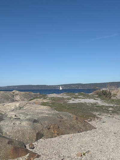 The image displays a bright, sunny coastal or lakeside landscape, likely in Nærsnes, Norway. The horizon line, defined by a dark, undulating distant shoreline, stretches horizontally across the mid-section of the frame. Above this, a vast, clear blue sky dominates the upper portion, with a faint, thin contrail visible in the upper left corner.
On the dark blue body of water, a small white sailboat with a triangular sail is visible in the distance, positioned against the darker backdrop of the far shore.
The foreground is characterized by rugged, grey and brown rocks, particularly prominent on the right side and extending towards the bottom of the frame. To the left of these rocks and extending into the midground, there is a lighter-colored gravelly or pebbly area interspersed with patches of green grass and some dry, sparse vegetation. Another cluster of dry, bush-like vegetation can be seen on a raised area near the distant shoreline on the right.
The bright, clear light indicates a daytime setting, likely midday or early afternoon, under clear weather conditions. The scene conveys a sense of natural tranquility and expanse. No people or discernible text are present in the image.