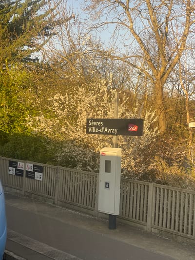 The image depicts a static outdoor scene at the Sèvres Ville-d'Avray train station in Sèvres, France. In the center, a black rectangular sign mounted on a grey pole displays "Sèvres Ville-d'Avray" in white capital letters, accompanied by the red and white SNCF logo on the right. Below this, a white rectangular utility box, also on a grey pole, features a square dark screen or panel and the international symbol of access (wheelchair icon); a smaller SNCF logo is present above the screen.
A light-colored, slatted fence constructed from concrete or wood runs horizontally across the mid-ground, extending from the left to the right of the frame. Attached to the fence on the left are multiple rectangular information signs, containing pictograms and text. The immediate foreground on the left shows a partial view of a light blue object, possibly part of a vehicle or train, resting on a dark paved surface.
Behind the fence and sign, dense vegetation forms the background. Numerous trees and bushes, many heavily covered in white blossoms, indicate a spring setting. A tall evergreen tree stands on the far left, while several large deciduous trees with visible branches, some bare and some with early foliage, are present throughout the background. The lighting suggests daytime, with natural sunlight casting a warm glow on the vegetation and parts of the station fixtures. The sky at the top of the frame is clear and light blue. No individuals are visible in the scene.