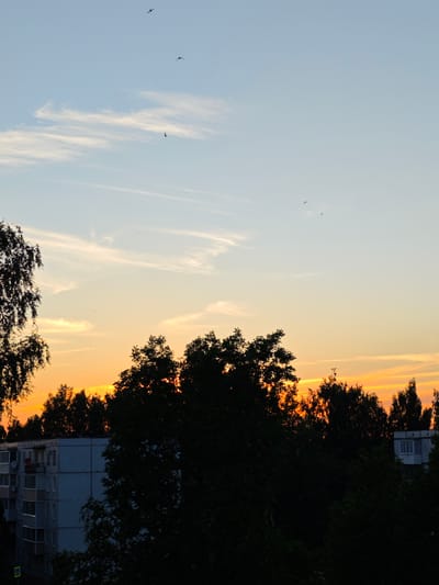 This is a photograph taken at dusk in Zaklinye, Russia. The scene depicts a view of the sky above a residential building and trees. The sky is a gradient of colors, transitioning from a pale blue at the top to a vibrant orange and yellow near the horizon, indicating sunset. Wispy white clouds are scattered across the sky, adding texture. Several birds are visible as small dark silhouettes against the sky, flying at different altitudes.
In the foreground, the dark silhouettes of trees dominate the lower half of the frame, obscuring much of the background. To the left, a portion of a multi-story apartment building is visible, with balconies and windows. The building appears to be made of concrete panels and has a weathered appearance. The overall mood is serene and quiet, characteristic of the end of the day. The lighting suggests it is late evening, just as the sun is setting. There are no discernible people or specific activities depicted, focusing instead on the natural elements of the sky and vegetation, contrasted with the urban element of the building. A small yellow diamond-shaped sign is visible at the bottom left of the frame near the building.
