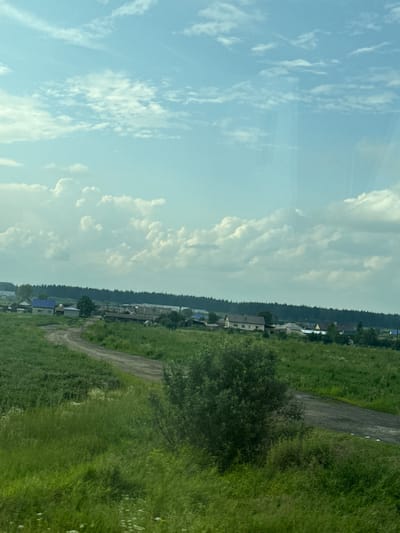 The image depicts a rural landscape under a partly cloudy sky. In the foreground, tall green grass and a winding dirt road dominate the scene. A small, bushy tree is situated on the right side of the road. In the mid-ground, a collection of buildings, likely houses and outbuildings, are visible, interspersed with trees. A dense line of dark green trees forms a backdrop across the horizon. The sky above is a light blue with scattered white clouds. This scene is consistent with the appearance of the outskirts of Retneva, Russia, characterized by open fields, rural settlements, and surrounding forests. There are no people or animals visible in the image.