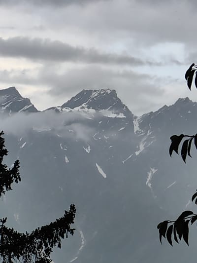 The image shows a view of snow-capped mountains under a cloudy sky. In the foreground, silhouetted branches of trees are visible on the left and right sides of the frame. The mountains appear rugged and are partially obscured by mist or clouds. The overall lighting suggests it is daytime, likely overcast or nearing dusk. There are no people, specific objects, or visible actions depicted in the scene. The location is identified as Siumsa, India, a region known for its mountainous terrain.