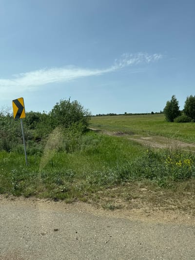 The image shows a rural roadside scene. A paved road is visible on the right side of the frame. Adjacent to the road, there is a grassy verge interspersed with some taller weeds and bushes. A yellow and black chevron sign, indicating a sharp turn in the road, is positioned amongst the vegetation near the road's edge. Beyond the roadside vegetation is a large open grassy field stretching towards the horizon, partially bordered by trees. The sky above is blue with a few wispy clouds. The location is suggested to be in or near Дүңгілағаш, Kazakhstan, but there are no location-specific elements to independently confirm this. There are no people visible in the scene.