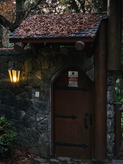 A wooden door with iron hardware is set into a stone wall. An illuminated lantern is mounted on the stone wall below the door. A tiled roof covered in leaves is above the door. A Verisure alarm sign is affixed to the door. The image was taken in Villarrica, Chile.