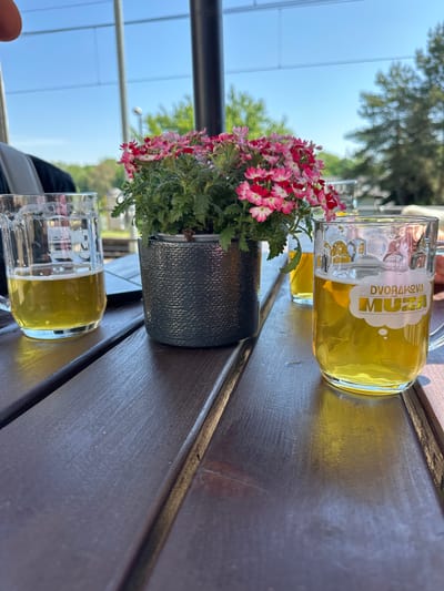 Two glasses of beer and a pot of flowers are on a wooden table. One of the beer glasses has the words "Dvorákova Muzea" printed on it. The environment appears to be an outdoor seating area, likely a cafe or restaurant. In the background, there is a partial view of trees and the sky. The image appears to be taken in Nelahozeves, Czechia based on the beer glass text.