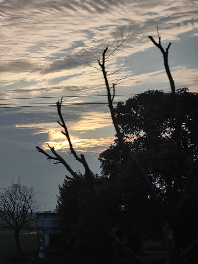 The image captures a serene sky at sunrise or sunset, with the sun's rays breaking through a textured cloud cover. The foreground is dominated by the silhouettes of several bare tree branches, some appearing broken or cut, reaching upwards. To the right, a large, dark tree with dense foliage obscures a portion of the sky. In the background, a power pylon and transmission lines are visible, suggesting a semi-urban or rural setting. The lower left of the image shows a bare-branched tree and a small, light-colored structure with some writing in Hindi, possibly indicating a landmark or signpost in the city of Gharaunda, India. The overall mood is one of quietude and natural beauty, with the stark silhouettes contrasting against the softly illuminated sky.