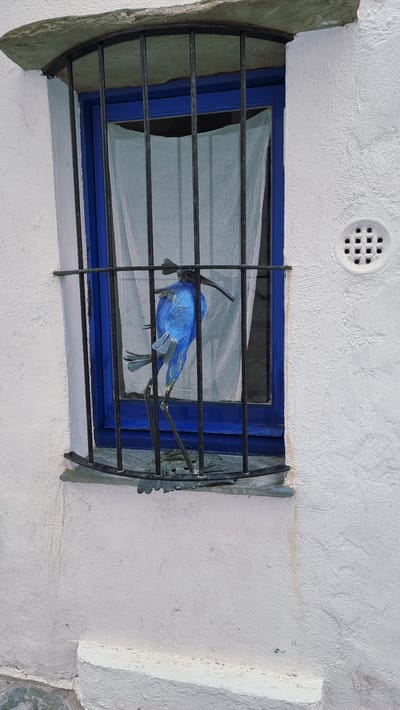 The media file shows a close-up, eye-level view of a brightly painted blue bird sculpture attached to the bars of a window. The bird is positioned horizontally, facing left, with its wings slightly spread and its tail feathers trailing. It appears to be made of metal and has a slightly distressed or weathered appearance.
The window itself has a bright blue frame and is partially covered by a sheer, white curtain. The window is secured by dark, wrought-iron bars arranged horizontally and vertically. These bars are decorative, with the bottom set featuring a more intricate, leafy design.
The window is set into a textured, white stucco wall. Above the window, a circular ventilation grate with a grid pattern is visible. The wall has some slight discoloration and texture variations. To the left of the window, the wall curves around and appears to be made of a rougher, greenish-gray material, possibly stone. The lighting suggests it is daytime, with the sun casting subtle shadows.
The scene is likely outdoors, given the stucco construction and the presence of a ventilation grate, common in many residential buildings. The setting is reminiscent of Mediterranean architecture. The overall impression is a charming, slightly whimsical detail found on a building. There is no visible text in the image.
