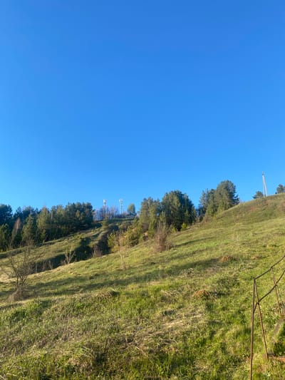 The image depicts a rural landscape under a clear blue sky. The scene is dominated by a grassy field, transitioning to a line of trees in the mid-ground. Utility poles are visible beyond the trees. The exact location in Karakulino, Russia, cannot be determined from the visual information provided. There are no discernible people, interactions, or explicit actions taking place within the frame. The scene consists of a rural field and trees.