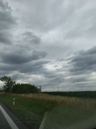 The image depicts a rural landscape under a heavily overcast sky. In the foreground, a paved road with a white line marking runs along the left side of the frame. Adjacent to the road is a grassy verge with a small white post topped with an orange reflector and a yellow sign with the number "6.5" on it. Further into the scene, a line of dense green trees and bushes forms a backdrop. To the right of the trees, a field of tall, dry grass is visible, followed by a cultivated field, possibly of corn, stretching towards the horizon. A solitary electricity pylon stands tall against the sky in the distance. The overall impression is one of a cloudy, possibly impending, weather event in a semirural or agricultural area. The location is identified as Záhoří, Czechia. There are no people or animals visible in the image.