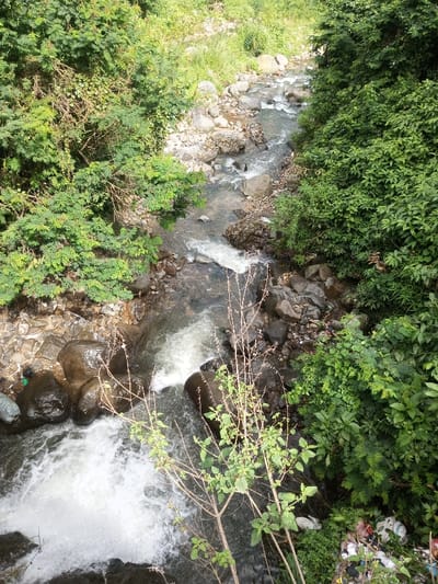 A cascading river flows between lush green vegetation. Boulders and rocks line the riverbed where the water churns white from the rapids. Sunlight shines on parts of the water and the greenery that surrounds the river. There is also trash along the riverside. A few bare branches extend over the frame.