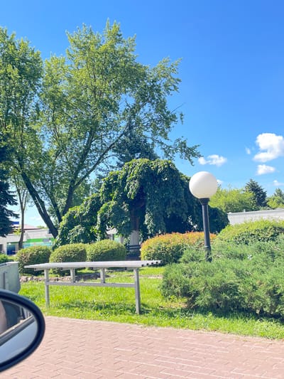 A low-angle, eye-level outdoor shot captures a scene in Pliski rural council, Belarus, on a bright, sunny day. The foreground is dominated by a red brick pathway and the side mirror of a vehicle, reflecting a portion of the environment. To the left of the pathway, a well-maintained green lawn leads to a light-colored metal bench supported by gray metal legs, positioned in front of a row of neatly trimmed green bushes.
Behind the bench and bushes, a large, mature tree with dense green foliage and drooping branches takes center stage. Its branches are heavily laden with leaves, creating a shaded canopy. A tall, black lamppost with a white spherical globe stands to the right of the weeping tree, amidst more lush green shrubbery. In the mid-ground, a building with a light-colored facade and green and blue accents is visible behind the trees and bushes. The background is a clear, vibrant blue sky dotted with a few fluffy white clouds. The overall impression is one of a clean, well-kept public space, likely a park or a recreational area, bathed in bright sunlight.