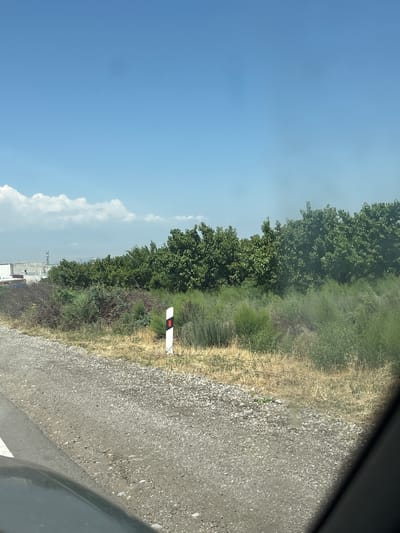 The image depicts a roadside scene in Armenia, possibly Paruyr Sevak given the context. The orientation of the image is vertical, suggesting it was taken from inside a moving vehicle looking out. The scene is divided into two main areas: the sky and the roadside landscape.

The sky occupies the left side of the image and is a clear, bright blue, indicative of a sunny day. A few fluffy white clouds are visible on the horizon towards the bottom left.

The right side of the image shows the roadside. A gravel road or shoulder is prominent in the foreground, with scattered stones and a darker, possibly paved section on the far right where a shadow is cast. Adjacent to the road is a strip of dry, yellowish grass and vegetation, transitioning into denser green foliage and trees further in the background. A black and white striped marker with red accents, likely a road marker or post, stands out against the vegetation. In the far distance, beyond the trees, some industrial structures or buildings are faintly visible, including what appears to be a communication tower.

The overall impression is of a rural or semi-rural environment on a bright, clear day. There are no people visible in the image. The activity taking place is implied to be travel along this road. The image is likely taken during daylight hours, given the bright sky. No text is visible in the image.