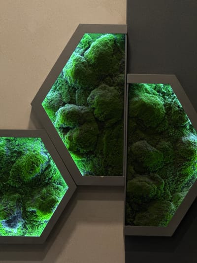 The image shows three interconnected, hexagonal frames containing a dense, bright green moss-like substance. The frames are gray and attached to a wall that transitions from a dark gray in the upper portion to a light beige in the lower portion. The moss appears to be artificially lit, creating a vibrant, almost neon-like glow. There are no people visible. The location (Vorsha, Russia) is not discernible from the image alone.