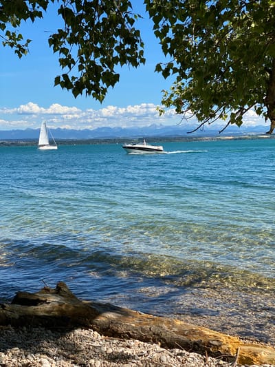 This is a vertical, eye-level, outdoor, daytime photograph taken in Cortaillod, Switzerland, looking out over Lake Neuchâtel. In the foreground, a large piece of driftwood rests on a pebbly shore, casting a shadow into the clear, shallow water. The water's surface is rippled, and the lake bed is visible beneath the surface. In the middle ground, a white sailboat with a single sail is visible on the left, and a motorboat with a person at the helm is moving from left to right on the right. The distant shore features a line of trees and buildings, with a mountain range beyond, partially obscured by clouds. Lush green leaves from a tree branch overhang the top of the image, framing the scene. The sky is bright blue with scattered white clouds.
