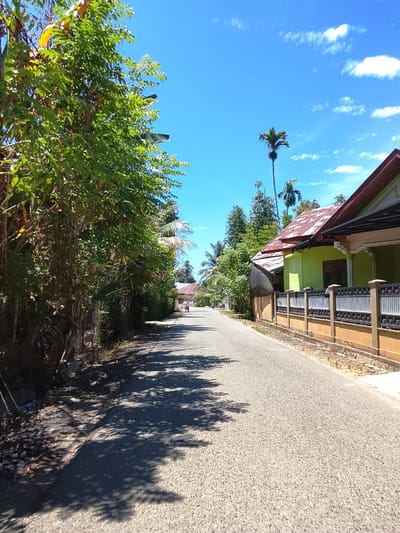 The image depicts a sunlit street in Teupin Peuraho, Indonesia. The road, paved with asphalt and speckled with light-colored aggregate, stretches into the distance, lined by lush green foliage on the left and houses with fences on the right. The sky is a vibrant blue, dotted with a few wispy white clouds. On the left side of the road, dense trees and vegetation cast dappled shadows onto the pavement, indicating a sunny day. A person is visible on a bicycle further down the road. On the right, a house painted lime green with a red, corrugated metal roof is partially visible, separated from the road by a light brown wall topped with a black and silver fence. Palm trees are scattered throughout the landscape. The overall scene suggests a quiet, rural or suburban environment under clear weather conditions.