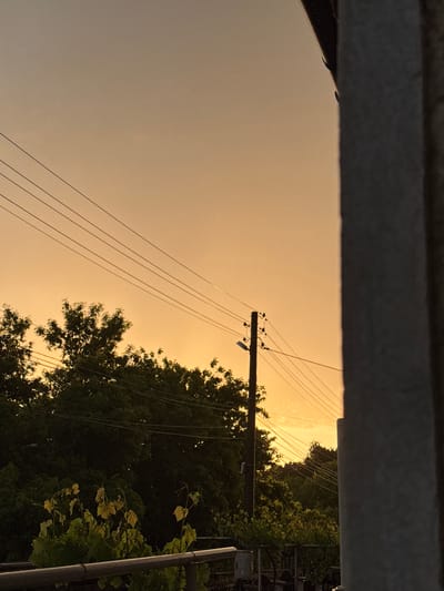 The image shows a view of a power pole and lines against a yellowish sky, partially framed by a dark, overhanging structure (possibly a building element). Dense foliage is visible to the right, with lighter green foliage and a pole structure in the foreground. The location may be Kardam, Bulgaria based on the prompt.