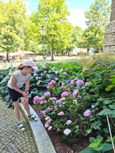 A young girl wearing a pink baseball cap and a light-colored, short-sleeved shirt with a subtle pattern is sitting on a concrete ledge. She has on dark navy shorts and light green socks with dark blue sandals. Her legs are extended in front of her, and she is looking off to the side.
She is situated in a garden setting with abundant greenery and blooming pink and purple hydrangeas. The girl is positioned to the right of the frame, with the flowers and foliage occupying a significant portion of the image. Behind the girl and the garden, a paved walkway with cobblestones is visible.
In the background, there are trees with lush green leaves, and further beyond, buildings and a lamppost can be seen. The scene appears to be outdoors during the daytime, likely a sunny day given the brightness and the shadows. The overall mood seems relaxed and peaceful. The location context of Brunswick, Germany, suggests an urban park or garden area. No visible text is present in the image.