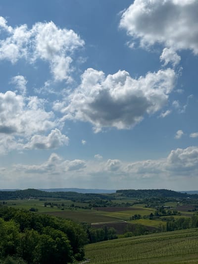 The image presents a view in Untergruppenbach, Germany. Above, the sky is bright blue, filled with fluffy white cumulus clouds. Below, the landscape is verdant, consisting of fields, vineyards, and forests. The composition suggests an elevated viewpoint, possibly from a hillside or tower, overlooking the agricultural terrain.