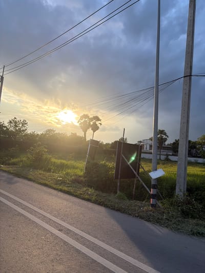 In Ban Dong Luang, Thailand, a road with double white lines runs diagonally from the bottom left to the upper left of the frame. To the right of the road, a grassy embankment is visible. Beyond the embankment, a palm tree stands tall, silhouetted against a sky filled with dramatic clouds and a brilliant sunset. Power lines stretch across the sky, supported by utility poles. A black sign on a metal stand is positioned on the embankment, and a smaller white sign is attached to a utility pole. The scene is bathed in the warm, golden light of the setting sun, creating a sense of tranquility.