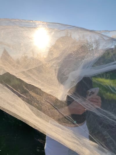In Nechaiane, Ukraine, a person is obscured by a sheer white fabric, possibly a mosquito net, with the sun shining brightly through it, creating a lens flare effect. The person is holding a smartphone and appears to be looking at it. The background suggests an outdoor setting with greenery and a clear blue sky. The fabric is draped in a way that suggests movement or wind.