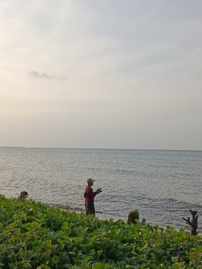 The image shows a man fishing on a beach in Arjasa, Indonesia, located at coordinates -7.71 latitude and 114.117 longitude. The man is standing on the shore, facing the water, and holding a fishing rod in his right hand. He is wearing a red shirt, a cap, and dark pants. Behind him, there is a small piece of driftwood partially submerged in the sand and some greenery. To the left of the man, a person is partially obscured by foliage. The water is calm and gray-blue, and the sky is a hazy gray. The scene appears to be a beach in Arjasa, Indonesia, with a man fishing in the late afternoon.