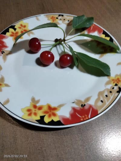 The image shows a white plate with a floral pattern, featuring red and yellow flowers, placed on a brown surface. Three cherries with green stems and leaves are resting on the plate. The timestamp "2026.07.02 20:53" is visible in the bottom left corner of the image. The scene appears to be indoors. The location is in Novyi Myliatyn, Ukraine.