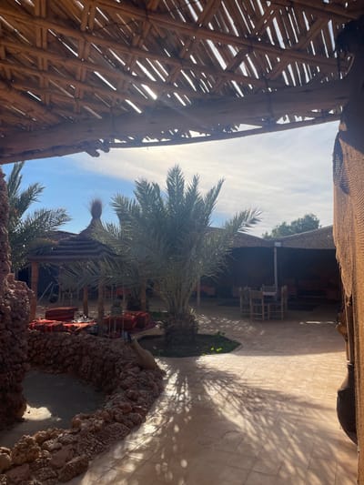 An outdoor courtyard is captured from beneath a rustic, thatched-roof structure. Palm trees reach towards a bright, overcast sky. Sunlight filters through the branches, casting shadows on the tiled patio. Tables and chairs are arranged near a building in the background. In the foreground, a low wall made of porous rocks borders the scene. The image is slightly rotated.