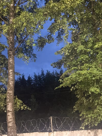 This image, captured in Dedovsk, Russia, shows a view of a dark sky through the branches of two trees. The tree on the left has a textured, light-brown bark and is partially silhouetted against the twilight sky. Its leaves are green and appear illuminated by an unseen light source. The tree on the right is also leafy and green, with some leaves catching the light.
Below the trees, the lower part of the image reveals a concrete wall topped with barbed wire fencing. The barbed wire is arranged in a diamond pattern. Behind the wall and fencing, dense, dark foliage of trees forms a silhouetted backdrop against the dim sky. Electrical wires are faintly visible running horizontally above the barbed wire. The overall scene suggests an outdoor environment at dusk or during twilight.