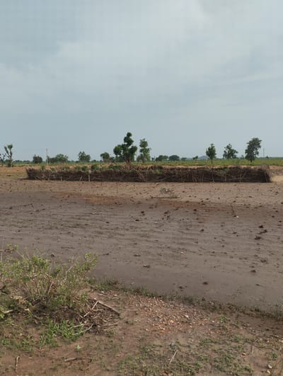 This is a landscape photograph taken in Kwagal, Nigeria. The image features a wide, muddy field under a cloudy sky. In the foreground, a low, dense barrier constructed from dried vegetation and branches stretches horizontally across the scene. This barrier appears to be a form of natural fencing or windbreak. Behind the barrier, a line of scattered trees dots the horizon, with more trees and a distant, hazy landscape visible in the background. The ground is a mix of dark, wet mud with some patches of dry, reddish-brown earth and small pebbles. Sparse green vegetation is growing in clusters in some areas, particularly in the foreground and along the edges of the muddy patches. There are no people or animals visible in the image.